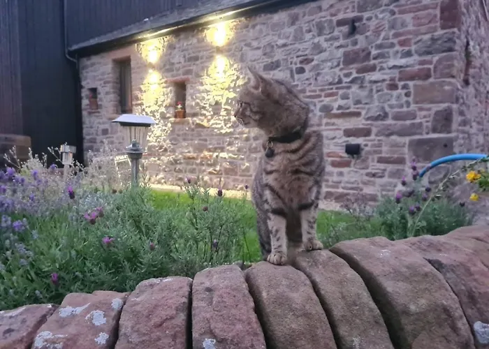 Old Brewery Barn, Ullswater, District Holiday home *